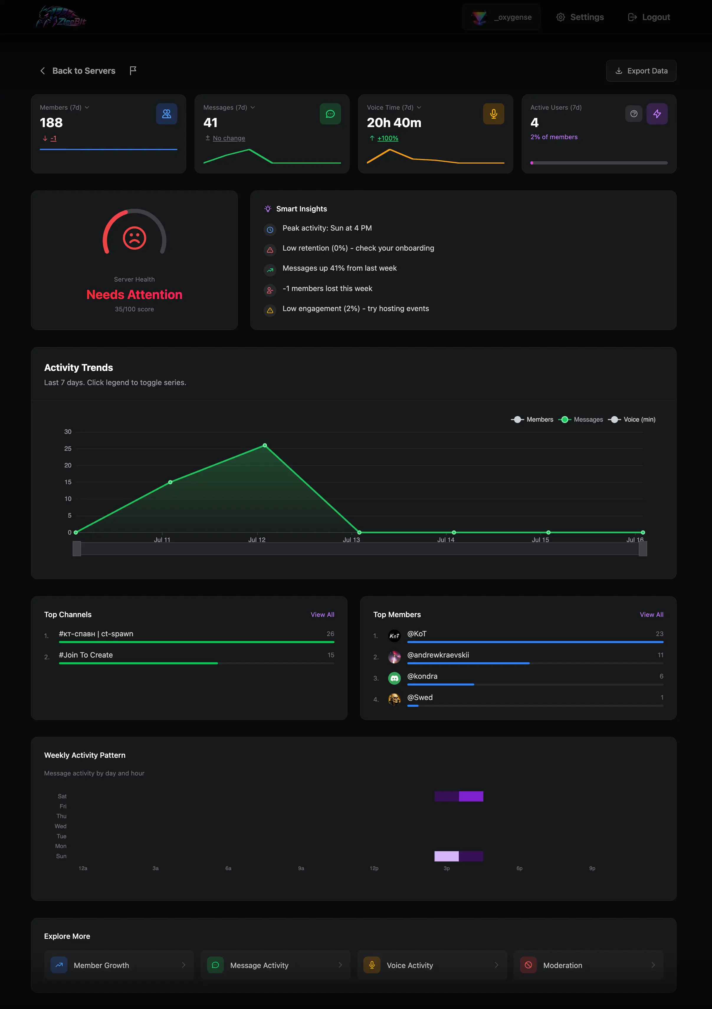 ZleeBit Overview report layout